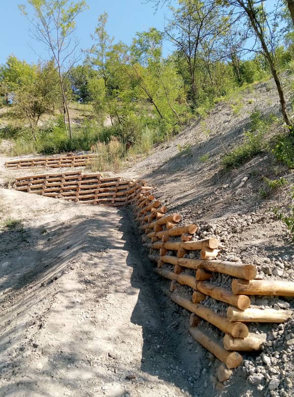 Fianco del pendio con palificata a doppia parete finita 