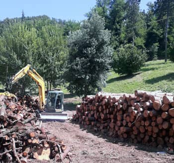 vendita legna da ardere a Loiano