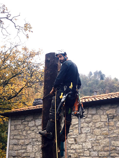 il nostro gruppo treeclimbing a Monghidoro